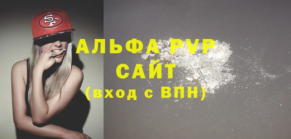 стаф Бородино