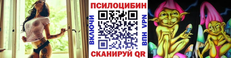 Псилоцибиновые грибы Cubensis Невель